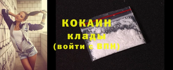 PSILOCYBIN Майский