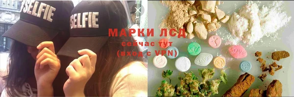 сатива Мегион
