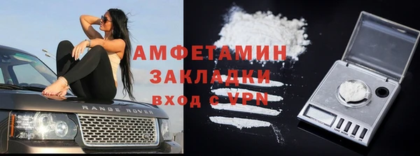 PSILOCYBIN Майский