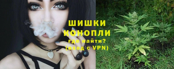 сатива Мегион