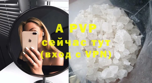 PSILOCYBIN Майский